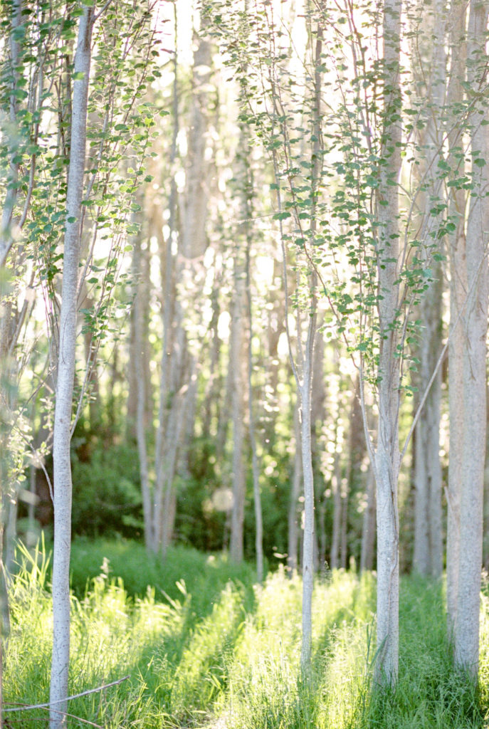 Magnuson Park, Seattle WA