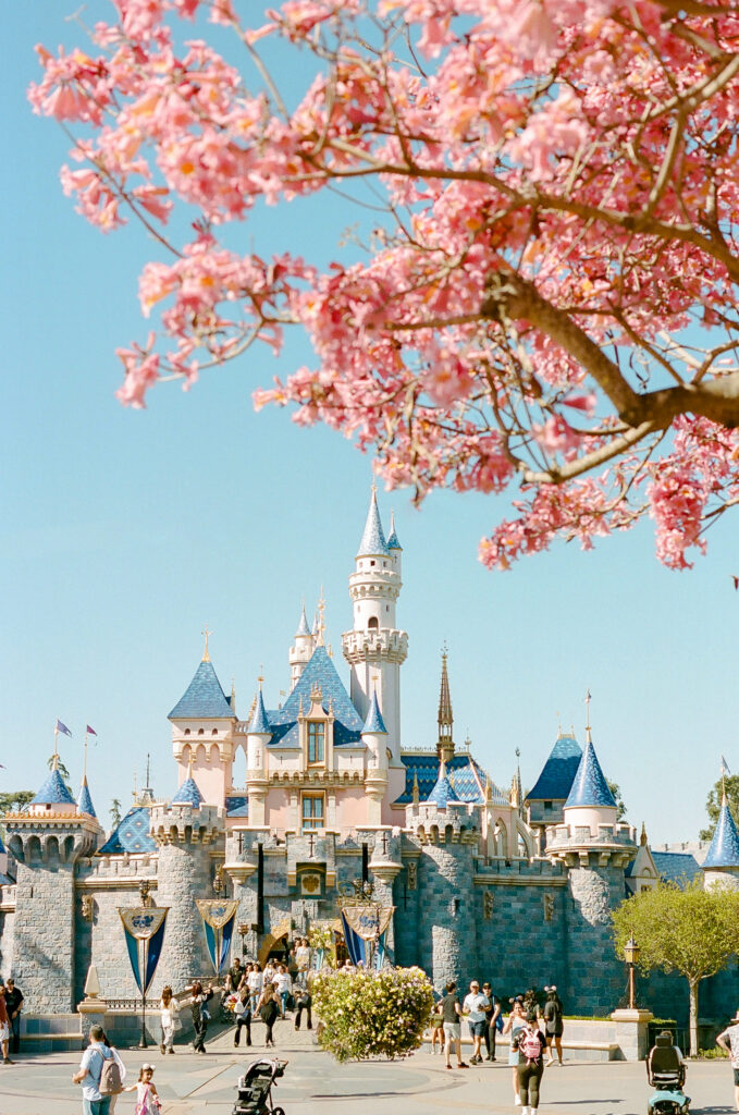 Disneyland engagement session idea