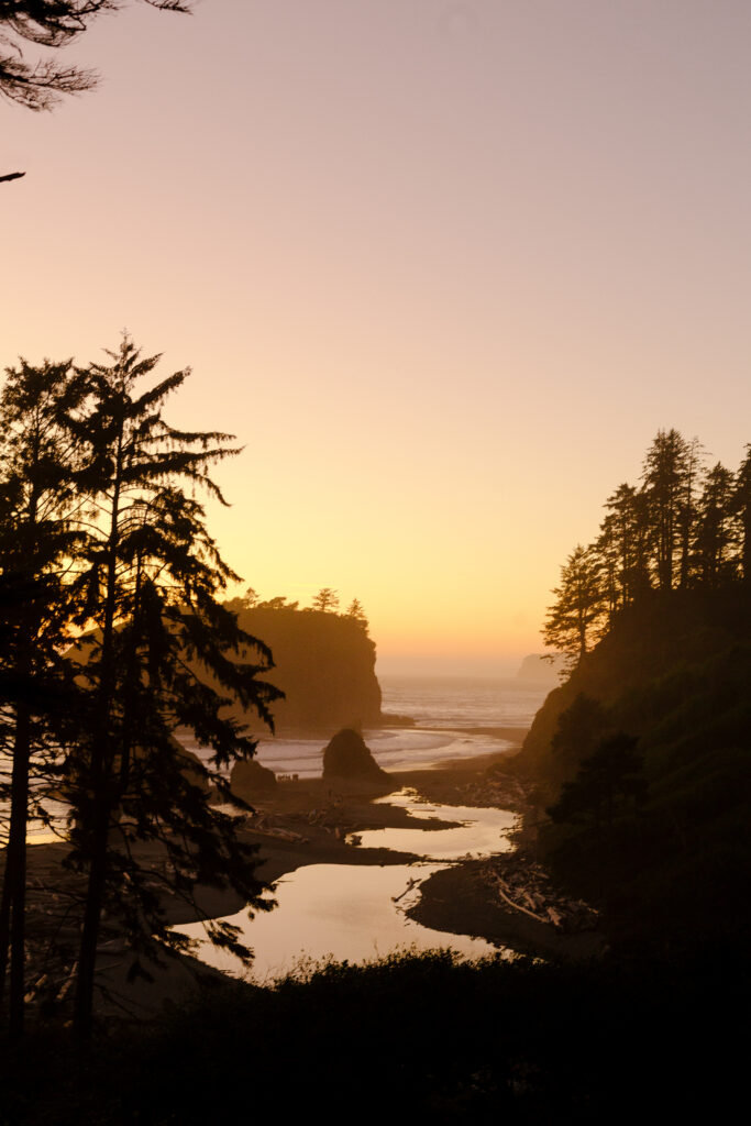 ruby beach engagement session location ideas in Washington State