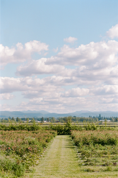 Laughing Goat Flower Farm Engagement Session Location